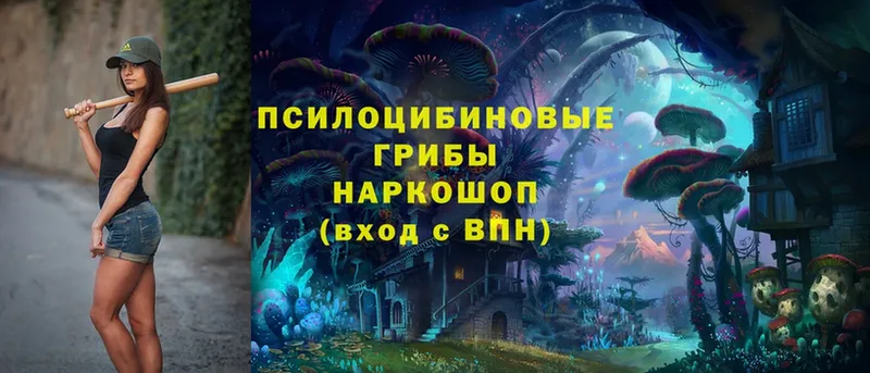 omg зеркало  купить закладку  Короча  Галлюциногенные грибы MAGIC MUSHROOMS 